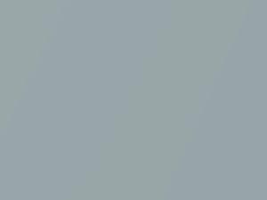 BMW M4 Silverstone II Metallic 2014 A29