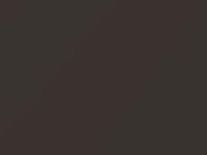 BMW 3 Series Mojave Brown Metallic 1994 331