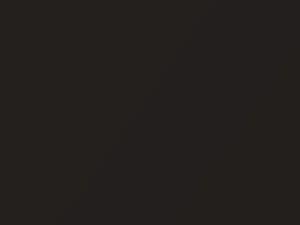 Hyundai Sonata Cocoa Metallic 2009 VK - Scratch Repair