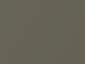 BMW All Models Olive Metallic 2010 349