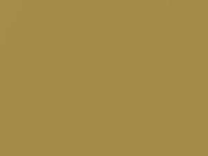 Toyota All Models Brass Gold Metallic 2021 5C2