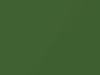 Ford All Models Jalapeno Green Metallic 1999 6951, M6951A, SV, X