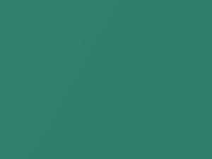 Volkswagen Golf Electronicgruen Metallic 2009 LD6T - Scratch Repair