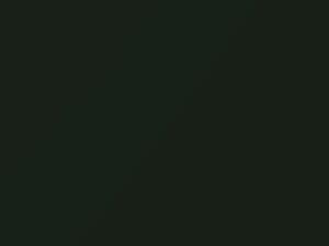 Dodge Ram Truck Moss Green Pearl 1996 DT7994, PJN, RJN - Scratch Repair