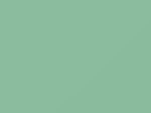 Chevrolet All Models Mint My Mind 2 2018 515B, GP9, WA515B - Scratch Repair