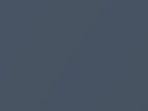 Nissan Altima Metallic Fish Metallic 2010 RAP - Scratch Repair