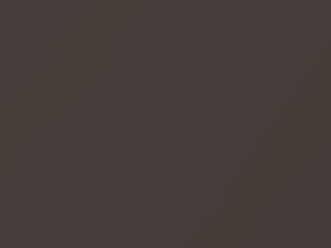 Ford F250 Stone Gray Metallic 2018 7393, D1, JN7E, JN7EWHA, LFG, M7393A - Scratch Repair