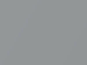 Hyundai Rohens Sleek Silver Metallic 2008 NCA