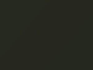 Mercedes-Benz Sprinter Bronzegruen Matt 2005 431, 456, 6431