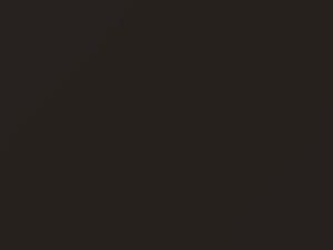 Nissan All Models Brown 2005 C01-N1, C01N1 - Scratch Repair