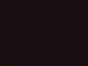 Nissan All Models Black Cherry Pearl 2021 NAG