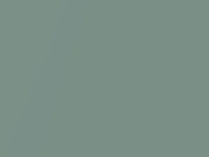 Nissan All Models Light Green Metallic 2016 D40
