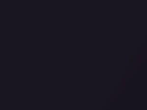 Volkswagen All Models Dark Violet Pearl/Dark Violett Pearl 2002 9948, 9968, C4V, LC4V