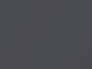 Hyundai Rohens Gray Titanium Metallic 2008 NDA