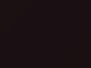 Land Rover All Models Autobiography Black Pearl 2013 PAW - Scratch Repair