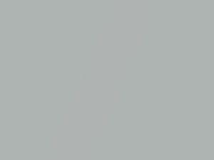 Toyota Wigo Silver Streak Mica 2018 10000000