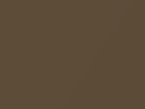 Nissan All Models Copper Metallic 2004 C10 - Scratch Repair