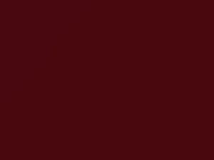 Ford All Models Liquid Red Pearl 2020 PN2BD, SM1238