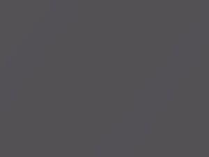 Honda All Models Signet Silver Metallic 1996 RP31M - Scratch Repair