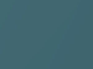 Volvo V50R Orinoco Blue Pearl 2010 479