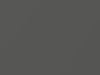 Saab All Models Steel Gray Metallic 2010 279
