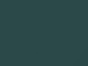 Toyota Corolla Capri Sea Metallic 2011 779