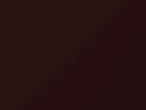 Mercury All Models Chestnut Brown Metallic 1999 6938, B4, M6938A - Scratch Repair