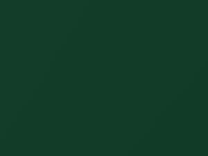 Lotus Lotus Racing Green Metallic 2011 B86