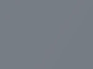 Honda All Models Slate Silver Metallic 2000 NH829M