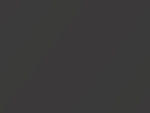 Acura Rdx Carbon Bronze Pearl 2008 YR562P