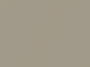 Jeep All Models Light Sandstone Metallic 2007 FKG, PKG