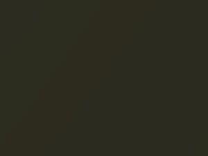 Dodge Ram Truck Sagebrush Pearl 2012 AY112JGX, AY97JGX, JGX, PGX - Scratch Repair