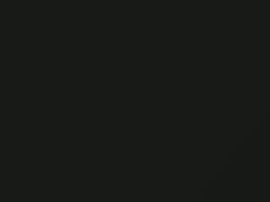 Toyota All Models Shadow Mica 2007 1F4 - Scratch Repair