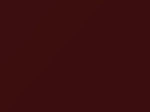 Nissan Armada Sonoma Sunset Metallic 2013 NAD - Scratch Repair