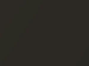 Dodge Ram Dark Khaki Metallic 2004 BJT, PJT - Scratch Repair