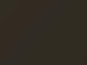 Chevrolet All Models Empire Bronze Metallic 2016 401A, GO2, WA401A - Scratch Repair