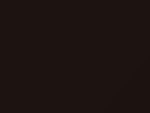 Chevrolet Cobalt Mogno Brown Metallic 2017 477A, 95, GYI, WA477A - Scratch Repair