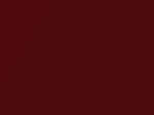 Fiat All Models Rosso Profondo Metallic 2013 255A