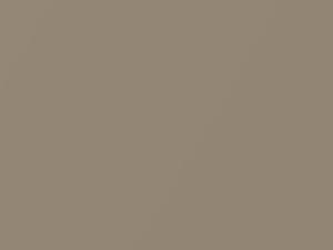 Honda Fit Desert Mist Metallic 2011 YR538M - Scratch Repair