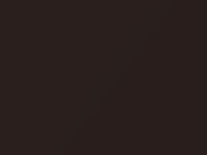 Subaru All Models Cinnamon Brown Pearl 2021 CN1, SAM