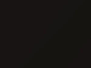 Hyundai Equus Night Shadow Brown Metallic 2014 VB2 - Scratch Repair