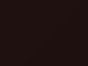 Mitsubishi All Models Dark Brown Metallic 2019 C12, CMC10012, CWN
