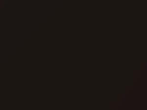 Dodge Ram Truck Rugged Brown Pearl 2019 AY111GTW, GTW, PTW - Scratch Repair