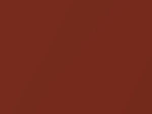Nissan All Models Bright Copper Metallic 2020 R10