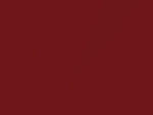 Mazda All Models Cardinal Red Mica 2006 30P