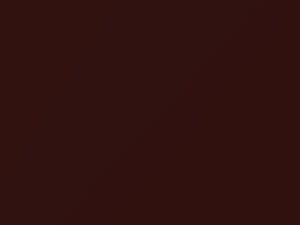 Nissan All Models Brown Metallic 2000 CP2 - Scratch Repair