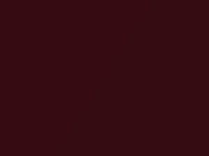 Dodge Caravan Velvet Red Pearl 2017 NRV, PRV