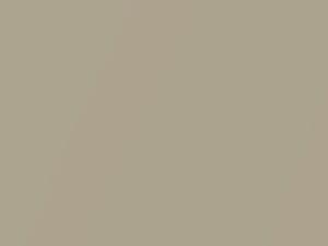 Hyundai Elantra Laguna Sand Metallic 2011 9W - Scratch Repair