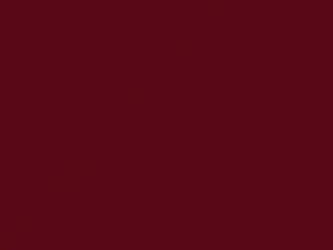 Isuzu All Models Brilliant Red Mica 1991 808, R021P902-0