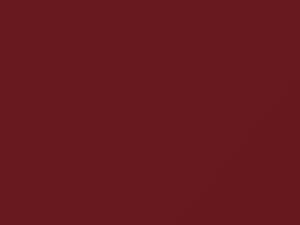 Fiat Punto Rosso Ribes Metallic 1999 182A